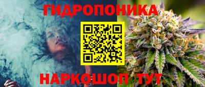ECSTASY Гусиноозёрск