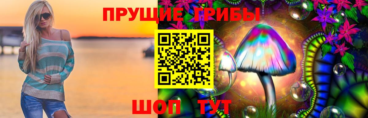 цены наркотик  Псилоцибиновые грибы GOLDEN TEACHER  Вход с VPN  Рубцовск  Псилоцибиновые грибы MAGIC MUSHROOMS 